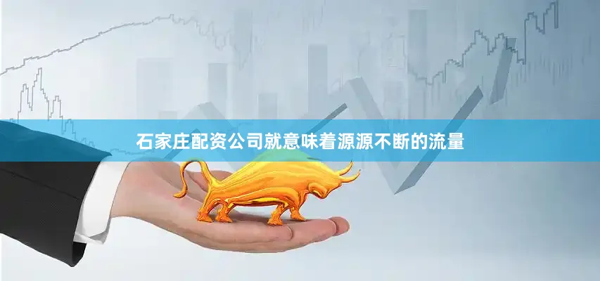 石家庄配资公司就意味着源源不断的流量